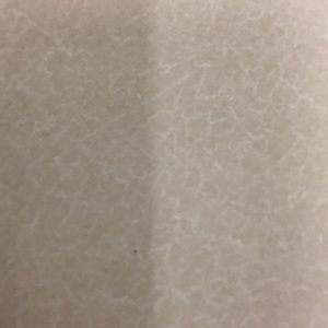 Meet your Posher, Rocky